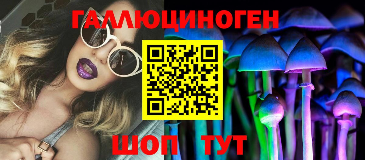 Белореченск  Галлюциногенные грибы Psilocybine cubensis  Вход с VPN 