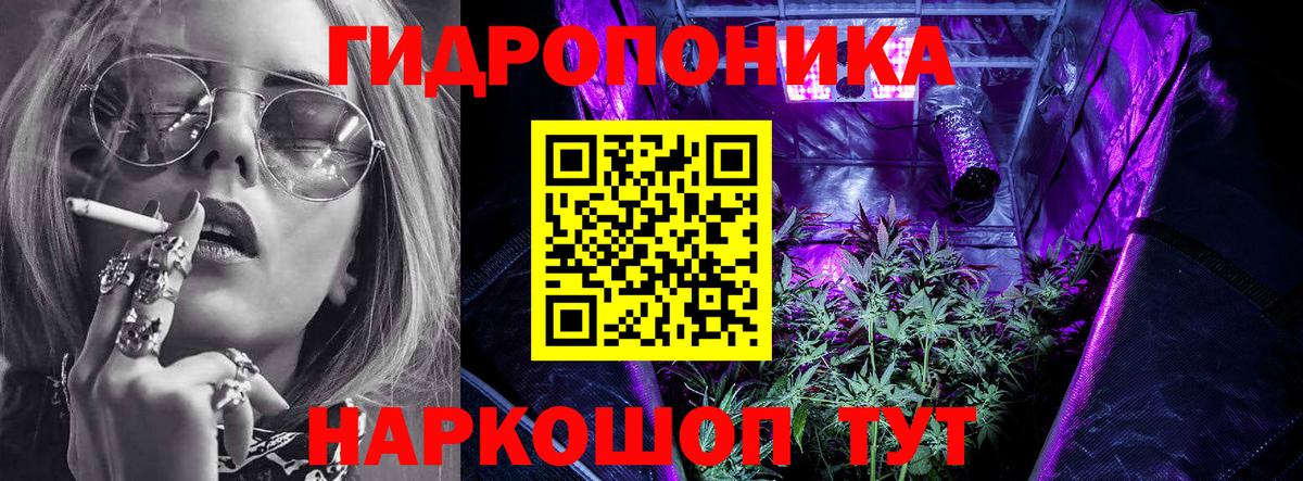 Марихуана семена  Каннабис OG Kush  Белореченск  Бошки марихуана Ganja  Вход с VPN 